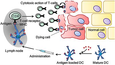 Dendritic Cell Cancer Therapy: Vaccinating the Right Patient at the Right Time